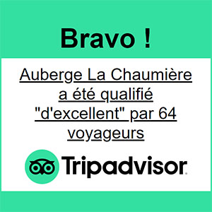logo tripadvisor